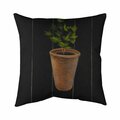 Begin Home Decor 20 x 20 in. Plant of Parsley-Double Sided Print Indoor Pillow 5541-2020-GA53